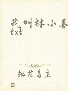 我叫林小喜小说txt