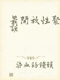 最开放性聚会小说