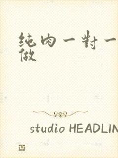 纯肉一对一到处做