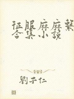 征服麻麻系列大合集小说