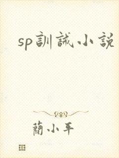 sp训诫小说