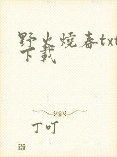 野火烧春txt下载