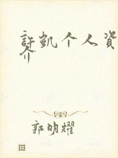 许凯个人资料简介