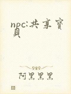 npc:共享宝贝