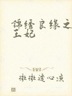 锦绣良缘之北地王妃