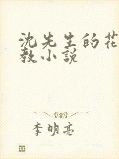 沈先生的花式管教小说