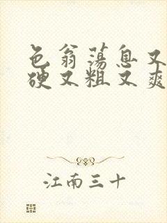 色翁荡息又大又硬又粗又爽