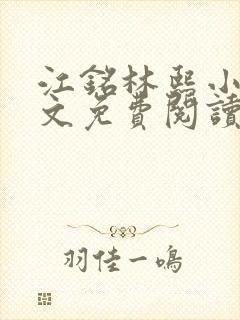 江铭林熙小说全文免费阅读