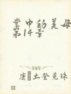 掌中的美母版主第14章