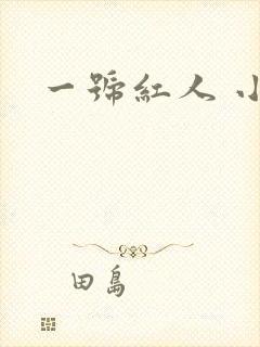 一号红人 小说