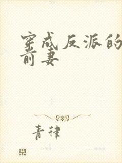 穿成反派的炮灰前妻