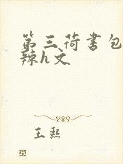 第三荷书包网高辣h文