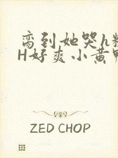 脔到她哭h粗话H好爽小黄鸭视频