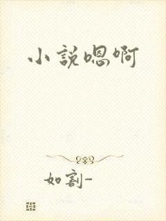 小说嗯啊