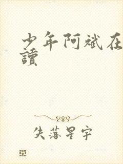 少年阿斌在线阅读