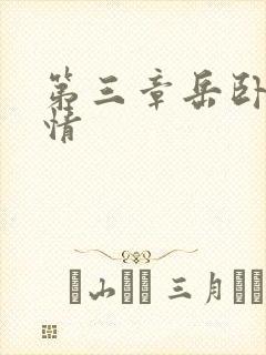 第三章岳卧室激情