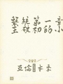 系统第一章给宿主破初的小说