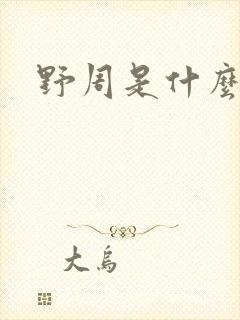 野周是什么意思