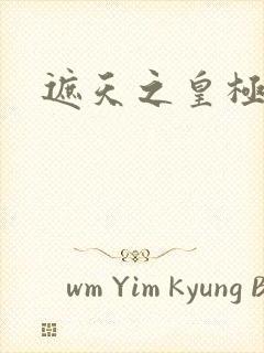 遮天之皇极帝道