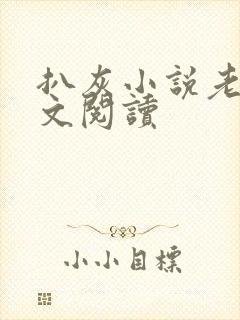 扒灰小说老马全文阅读