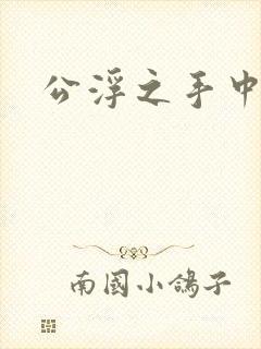 公浮之手中字5