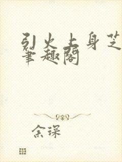 引火上身芝麻糖笔趣阁