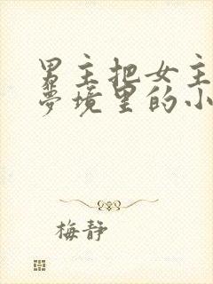 男主把女主拖进梦境里的小说