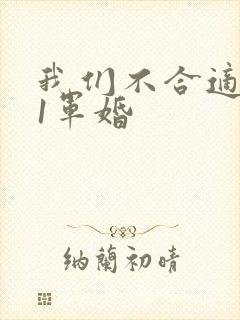 我们不合适1v1军婚