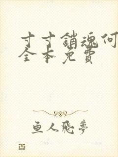 寸寸销魂何生祥全本免费