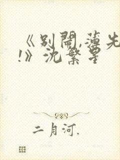 《别闹,薄先生!》沈繁星