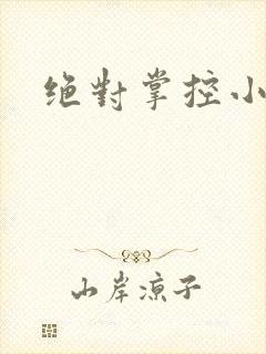 绝对掌控小说