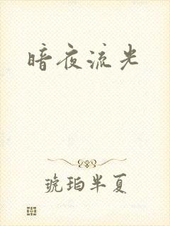 暗夜流光