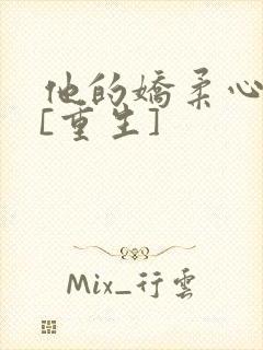 他的娇柔心尖宠[重生]