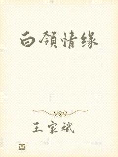 白领情缘