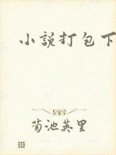 小说打包下载