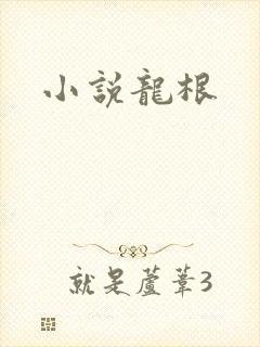 小说龙根
