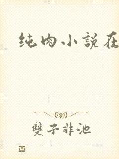 纯肉小说在线