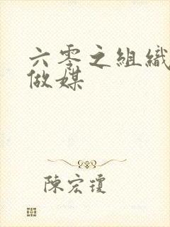 六零之组织给我做媒