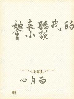 她来听我的演唱会小说