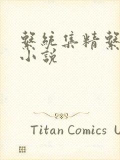 系统集精系统 小说