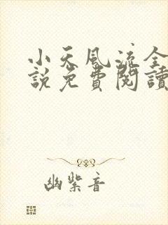小天风流全集小说免费阅读