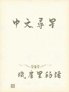中文寻星