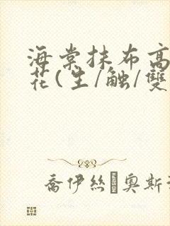 海棠抹布高岭之花(生/触/双)