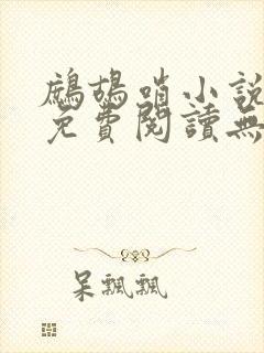 鹧鸪哨小说网站免费阅读无弹窗