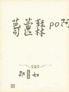 芭蕾鞋 po阿司匹林