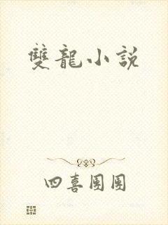 双龙小说