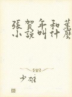 张贺年和叶繁姿小说叫什么名字