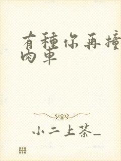 有种你再撞一下肉车