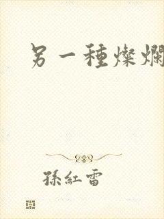 另一种灿烂生活