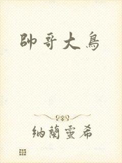 帅哥大鸟